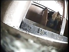 6 movies - Ladies captured peeing in exposed cubicles of a communal toilet Part 2