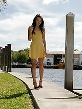 8 pictures - Carmen Rae Domesticated Iguanas