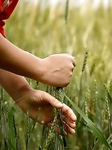 8 pictures - Sabrina Nichole Texas Beanfields