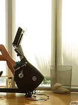 8 pictures - Presley Callen on a Life Cycle